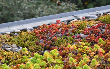 the cost of Fenstead End green roof installation