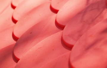 Fenstead End plastic roof costs