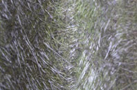 Fenstead End fibreglass roof work