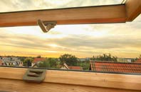 rated Fenstead End roof window companies